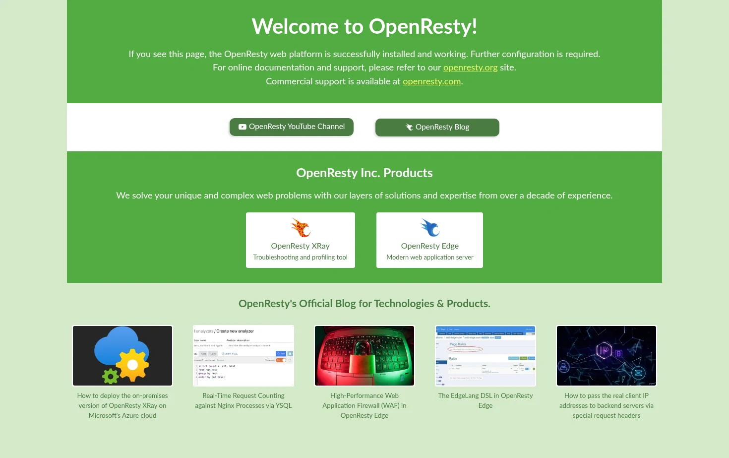 Welcome to OpenResty! 页面快照